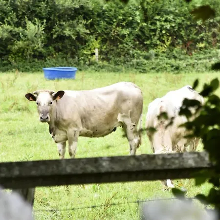 Bed & Breakfast Maison Hyacinthe Saint-Pierre-Langers